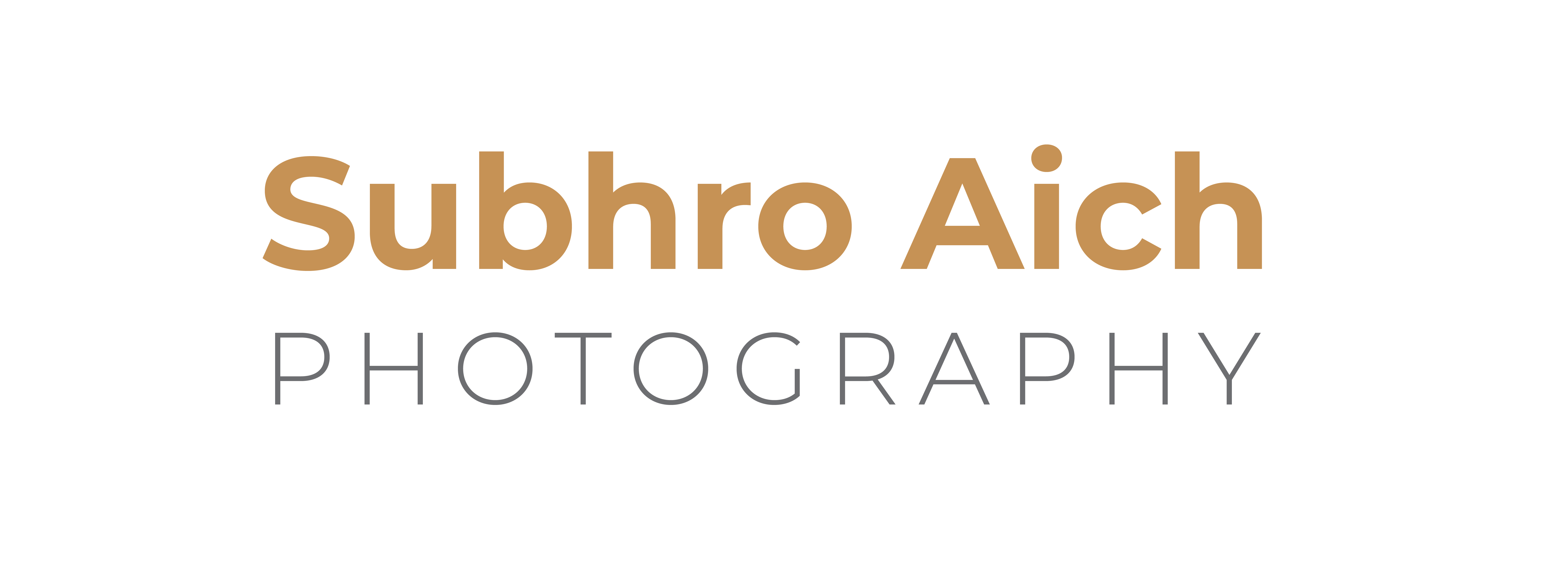subhroaichphotography.com